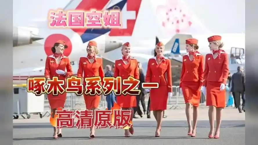 《法国空姐4》资源下载-法国空姐4免费观看完整版-高清在线播放尽在VS影院